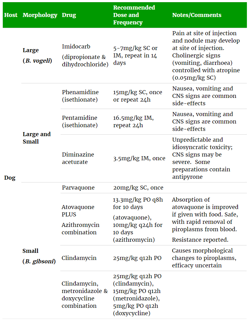 Clindamycin and dogs zpack